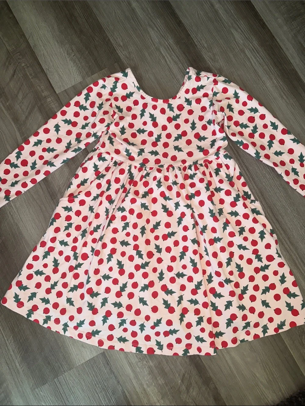 Hanna Andersson Pink Snowberries long-sleeve skater twirl dress 6-7 girls